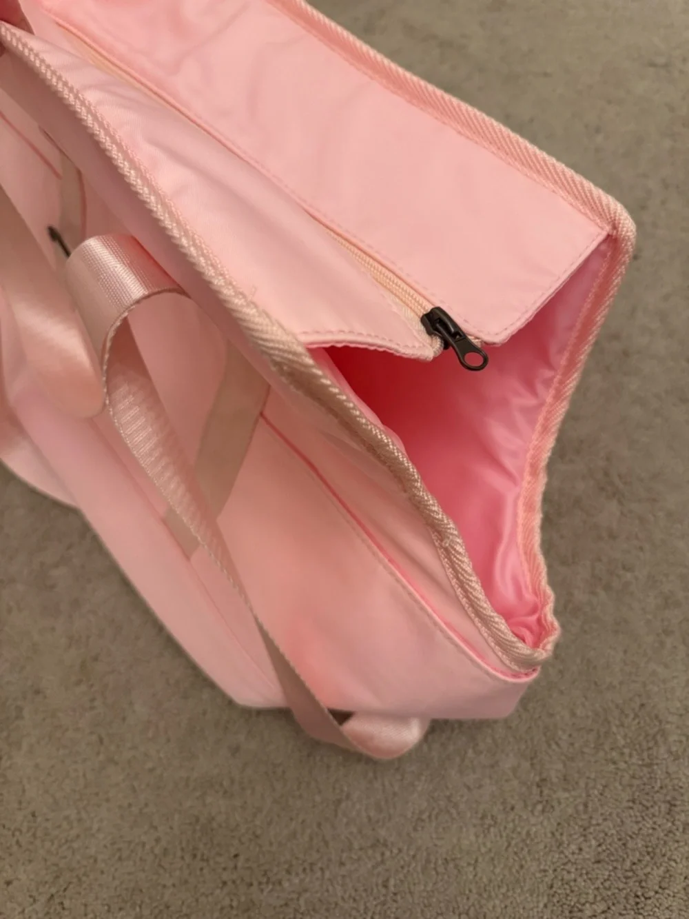 Soft Pink Cat Carrier Tote with Shoulder Straps